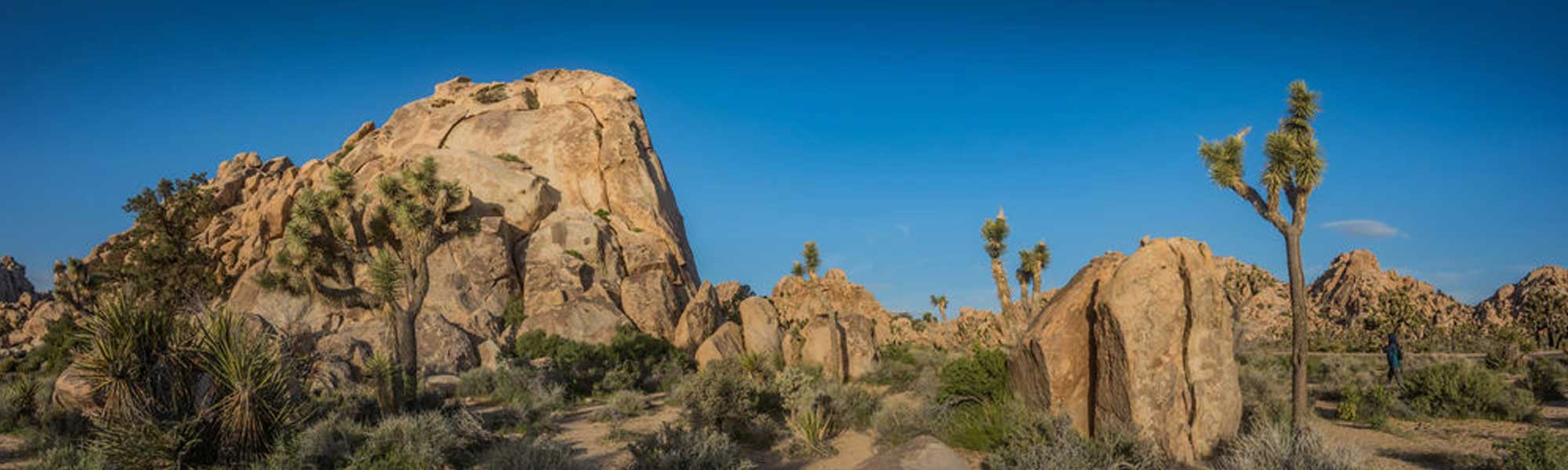 YUCCA VALLEY REAL ESTATE